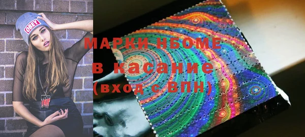 прущие грибы Верхний Тагил